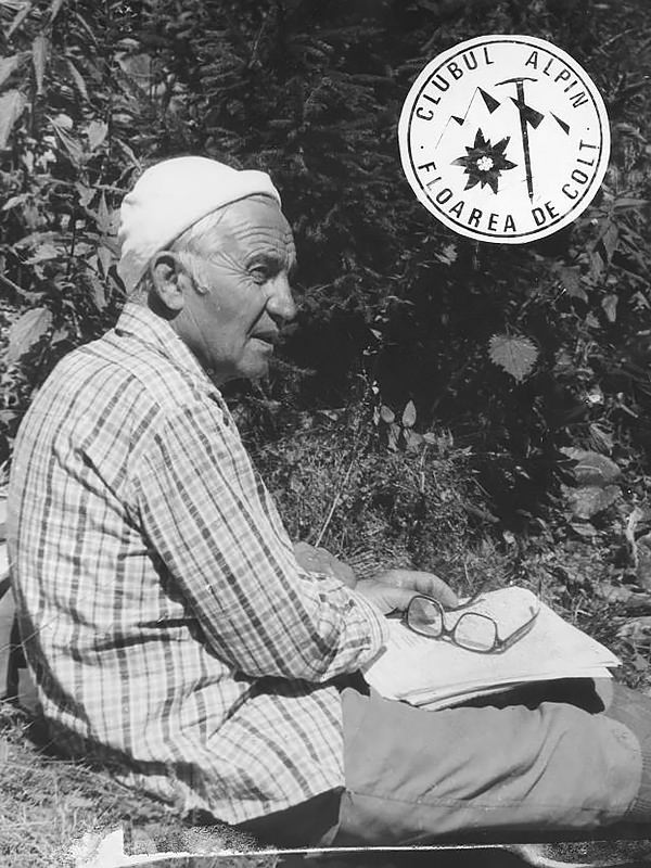 Emilian Cristea Emilian Cristea