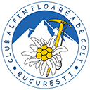 Floarea de Colț București