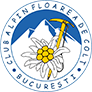 Floarea de Colț București